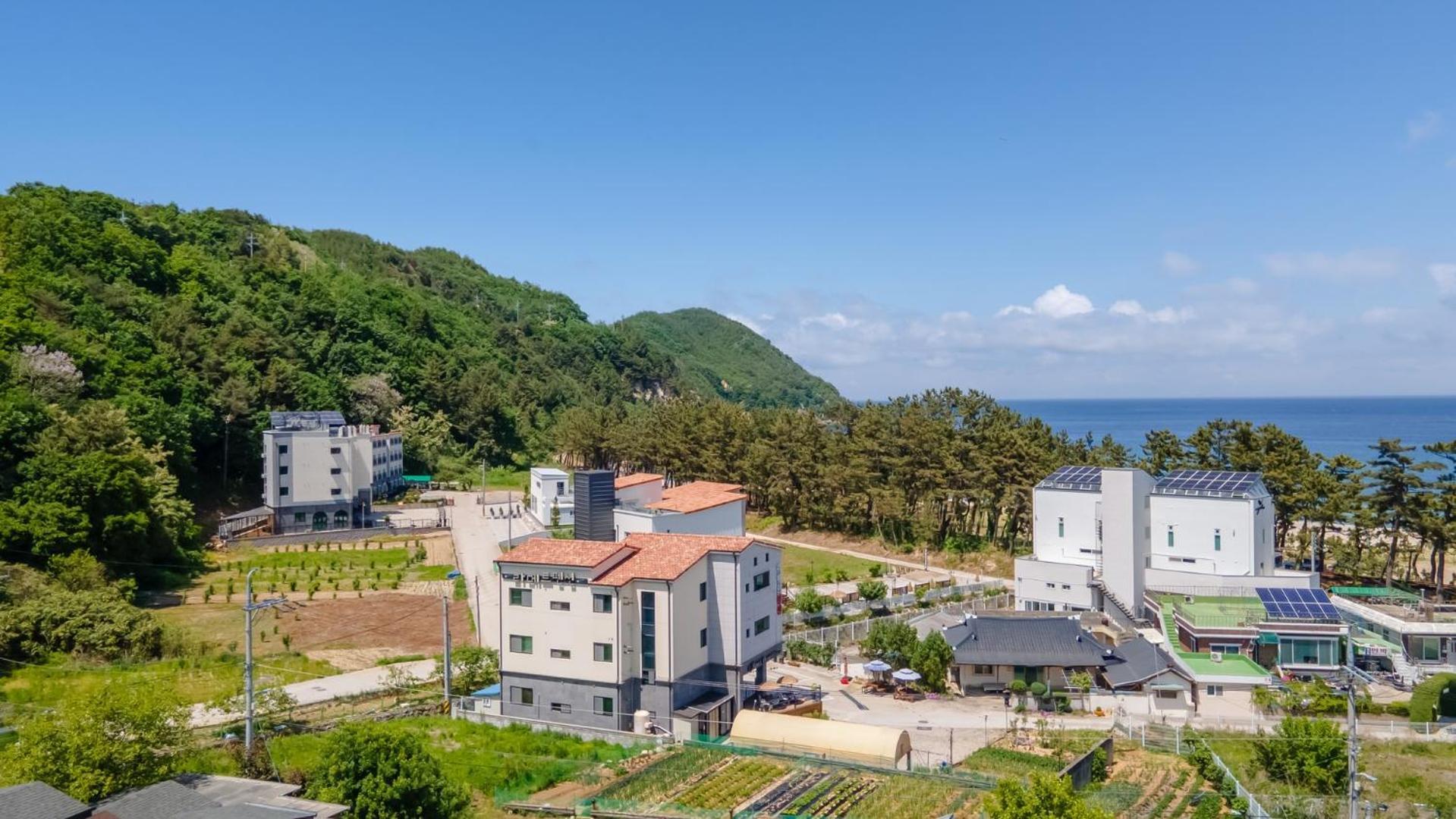 Samcheok Lamer Pension Exterior photo